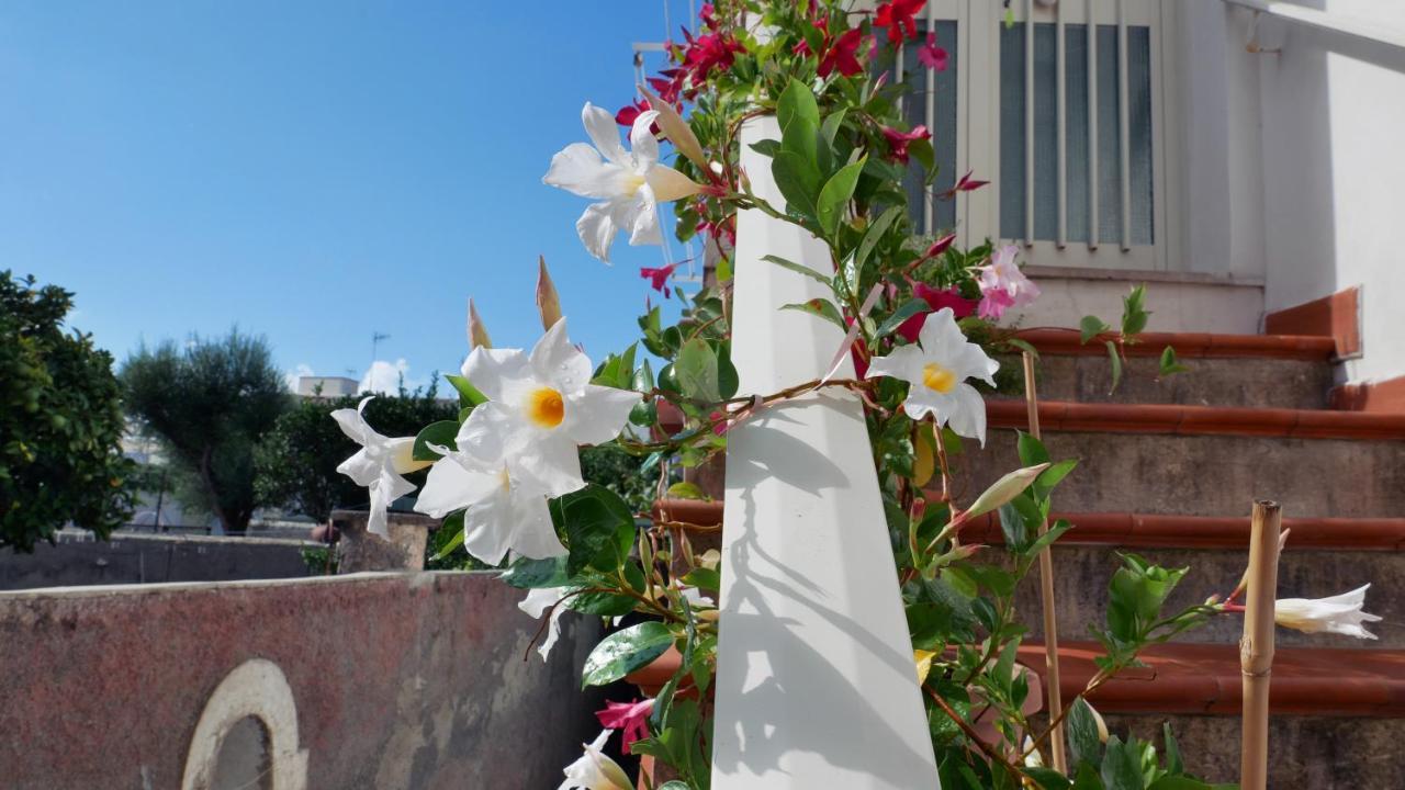 Casa Vacanza Anacapri Sunrise Экстерьер фото
